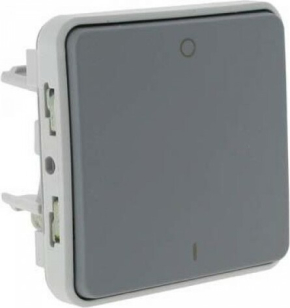 Выключатель двухполюсный IP55 Plexo (серый) Выключатель двухполюсный IP55 Plexo (серый)