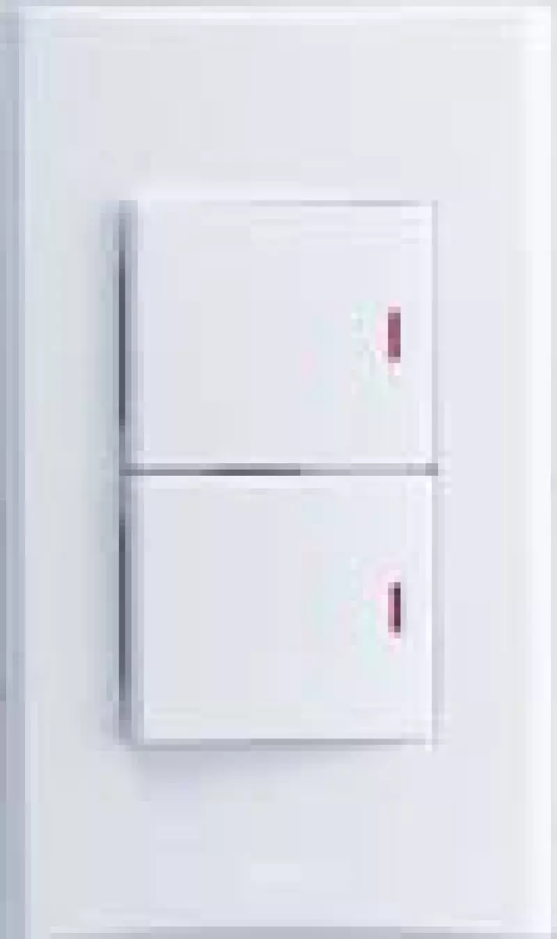 Anam Legrand Zunis    ,  6+6 ()
