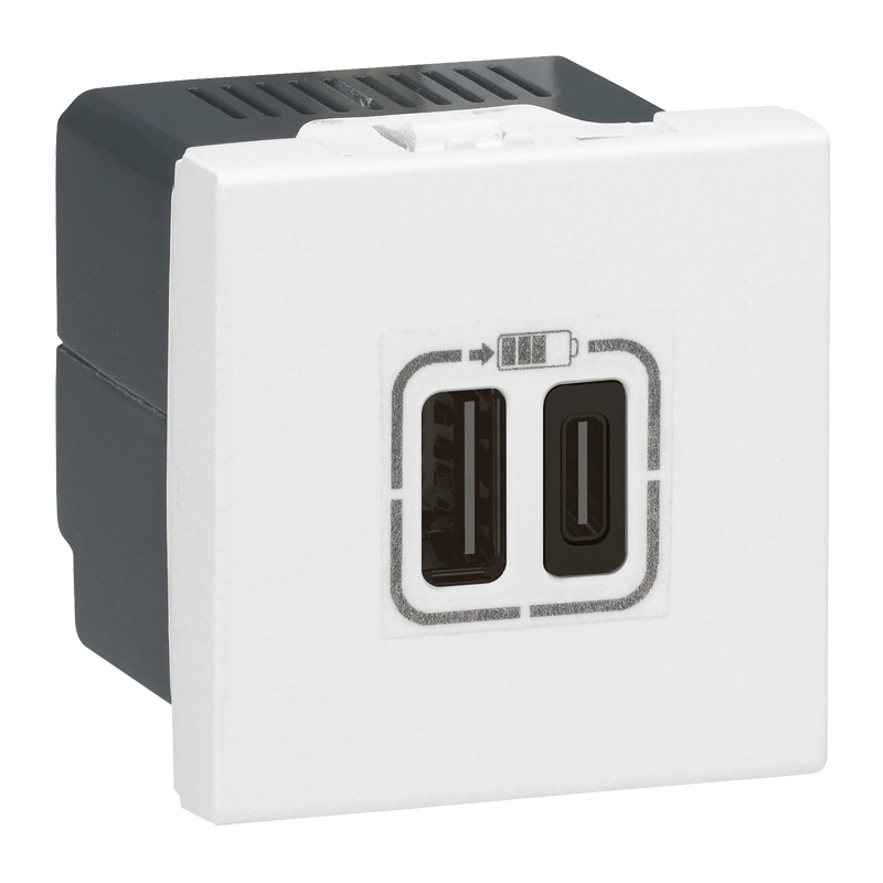 Розетка 2xUSB-C для зарядки - Программа Mosaic - 2 модуля - белый Розетка 2xUSB-C для зарядки - Программа Mosaic - 2 модуля - белый