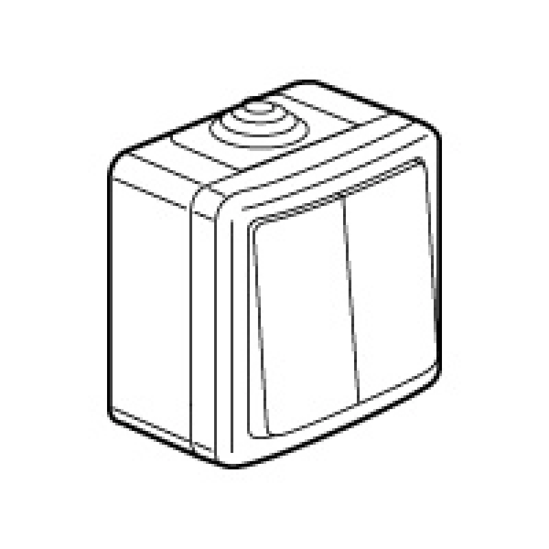 ����������� - Plexo 55 - BS - IP55/IK07 - 2 ����� - 2 ����������� - 10A - 250�