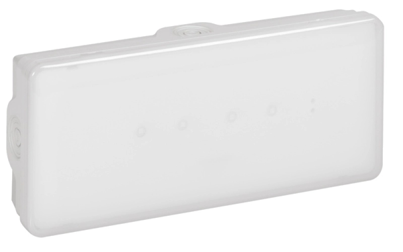 Погодоустойчивый светодиодный эвакуационный светильник B65 LED 1 час - 100 Лм постоянного/непостоянного действия Погодоустойчивый светодиодный эвакуационный светильник B65 LED 1 час - 100 Лм постоянного/непостоянного действия