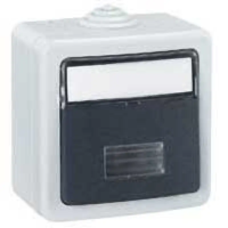 ������������� ����� �����������