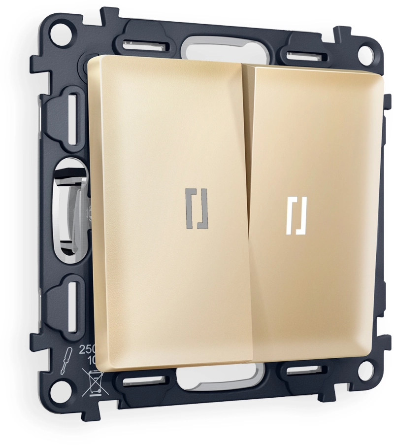   Ambrella ALFA   () 5600K (  )