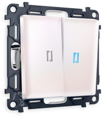 Двухклавишный выключатель с подсветкой (Жемчуг) 10000K (голубой свет) Двухклавишный выключатель с подсветкой (Жемчуг) 10000K (голубой свет)