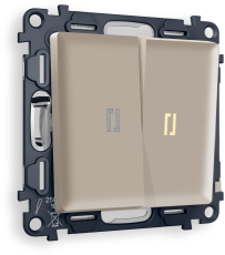Двухклавишный выключатель с подсветкой (Серо-бежевый матовый) 3200K (мягкий теплый свет) Двухклавишный выключатель с подсветкой (Серо-бежевый матовый) 3200K (мягкий теплый свет)