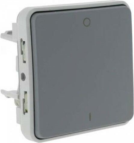 Выключатель двухполюсный IP55 Plexo (серый) Выключатель двухполюсный IP55 Plexo (серый)